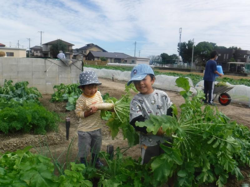 令和4年一坪47