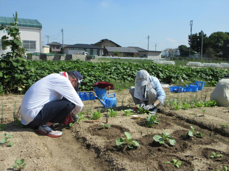 R5一坪秋冬22