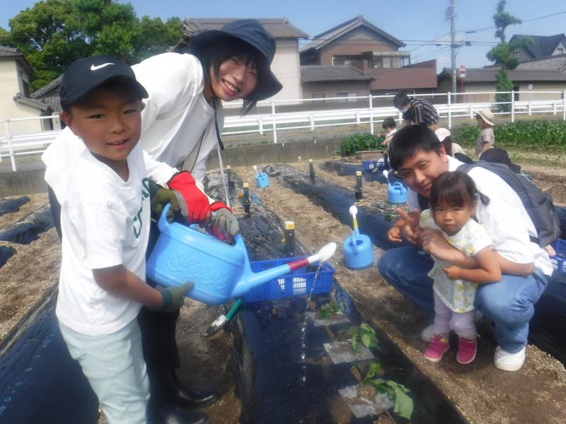 令和5年さつまいも植付3