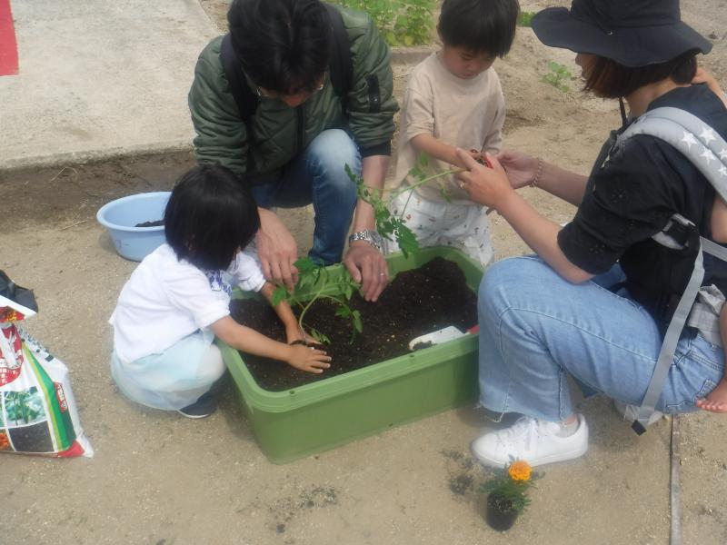 R5年度ミニトマトプランター植付体験5