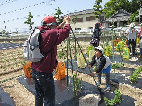 R8一坪春夏募集用2