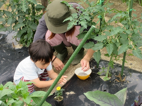 R8一坪春夏募集用3