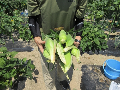 R8一坪春夏募集用4