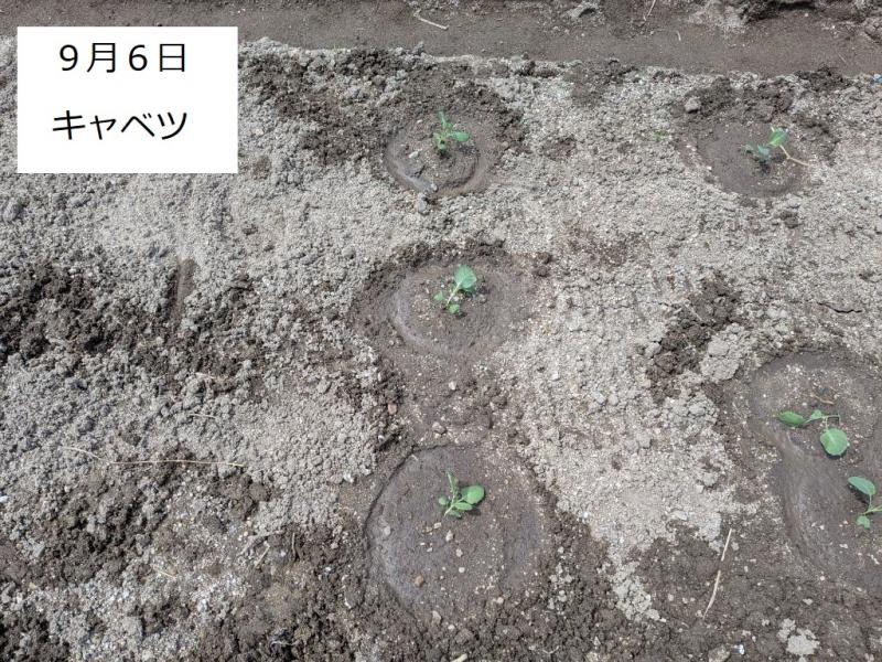 R7一坪秋冬111
