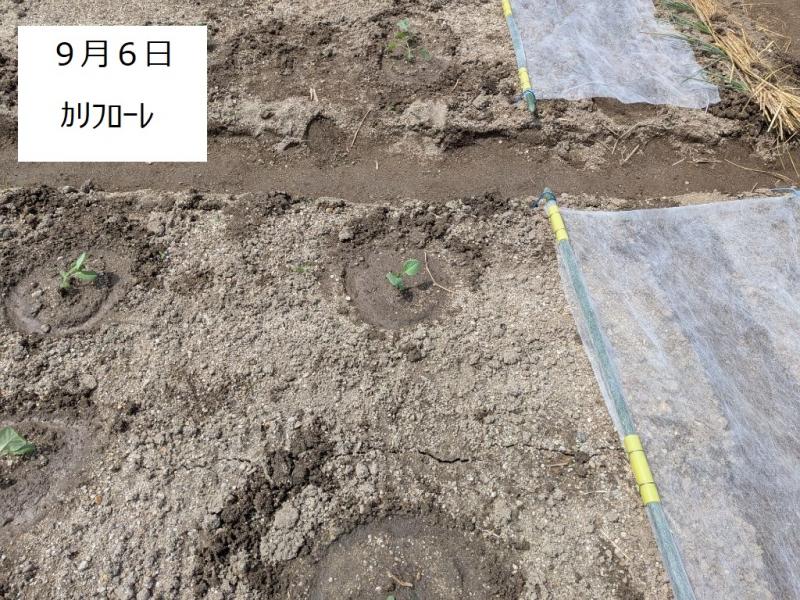 R7一坪秋冬117