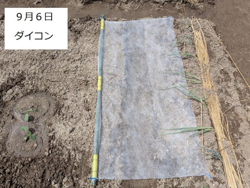 R7一坪秋冬114