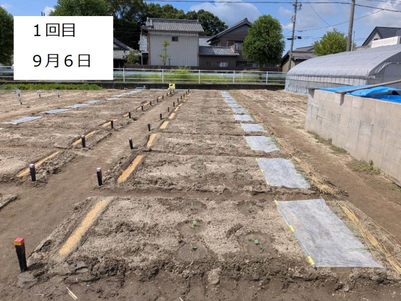 R7一坪秋冬19