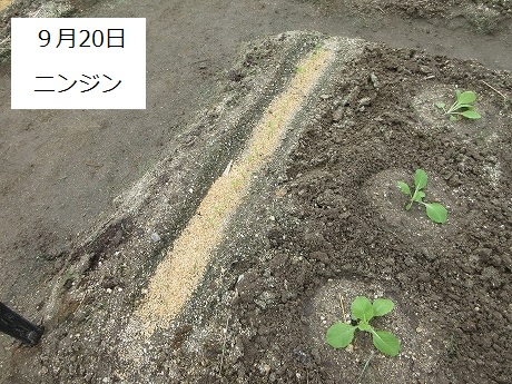 R7一坪秋冬210