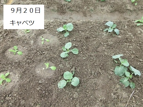 R7一坪秋冬211
