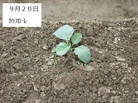 R7一坪秋冬212