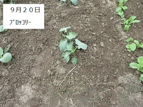 R7一坪秋冬213