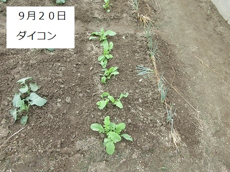 R7一坪秋冬214