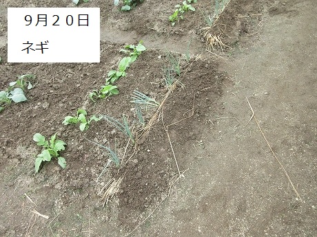 R7一坪秋冬215