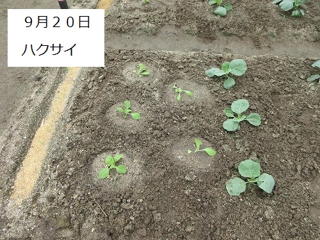 R7一坪秋冬216
