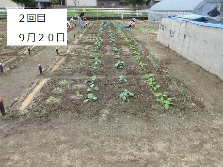 R7一坪秋冬29