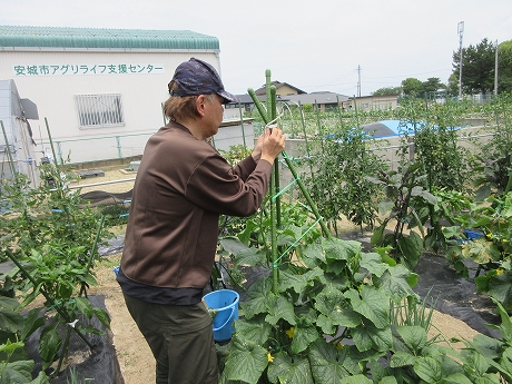 R7一坪春夏510