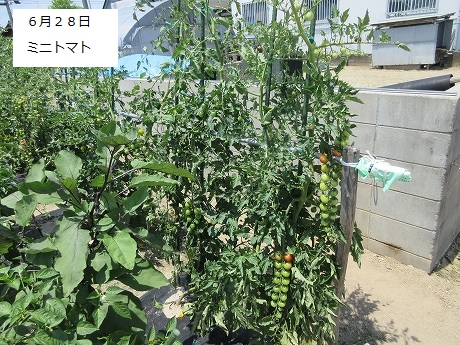 R7一坪春夏612