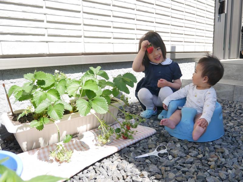 令和7年度いちごプランター受講者7