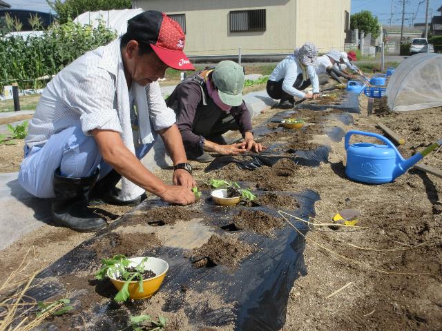 入門33期HP用2