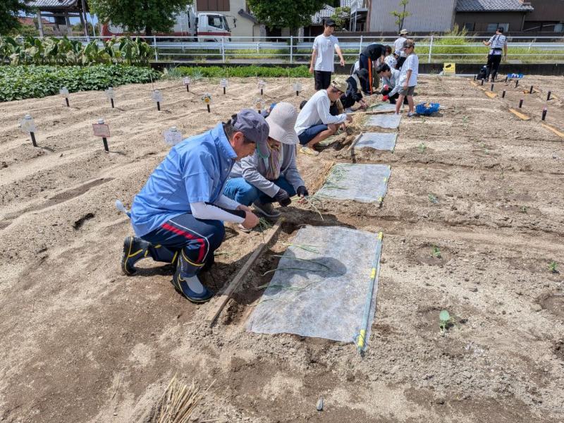 令和8年度一坪秋冬1