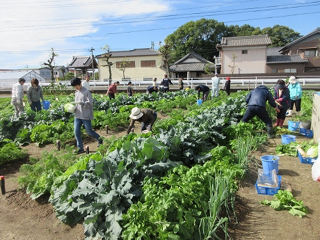 令和8年度一坪秋冬3