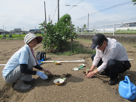 R8一坪秋冬13