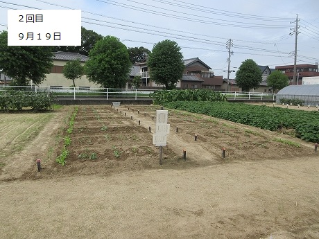 R8一坪秋冬27