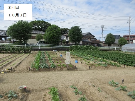 R8一坪秋冬39