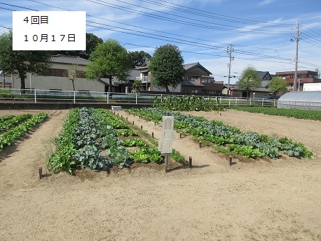 R8一坪秋冬413