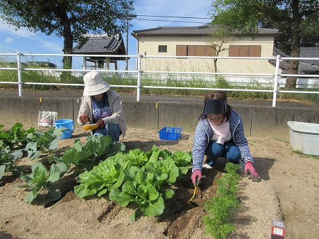 R8一坪秋冬45