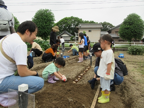 R8秋ジャガ植付2