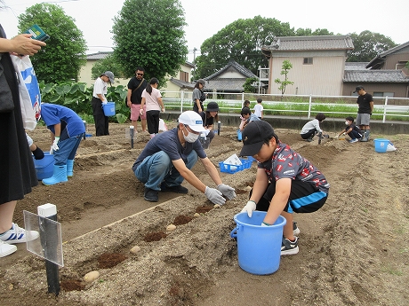 R8秋ジャガ植付4