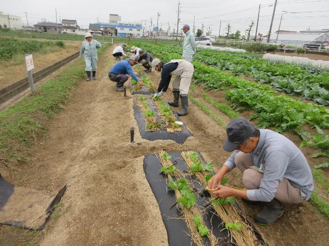 第35期入門コース2