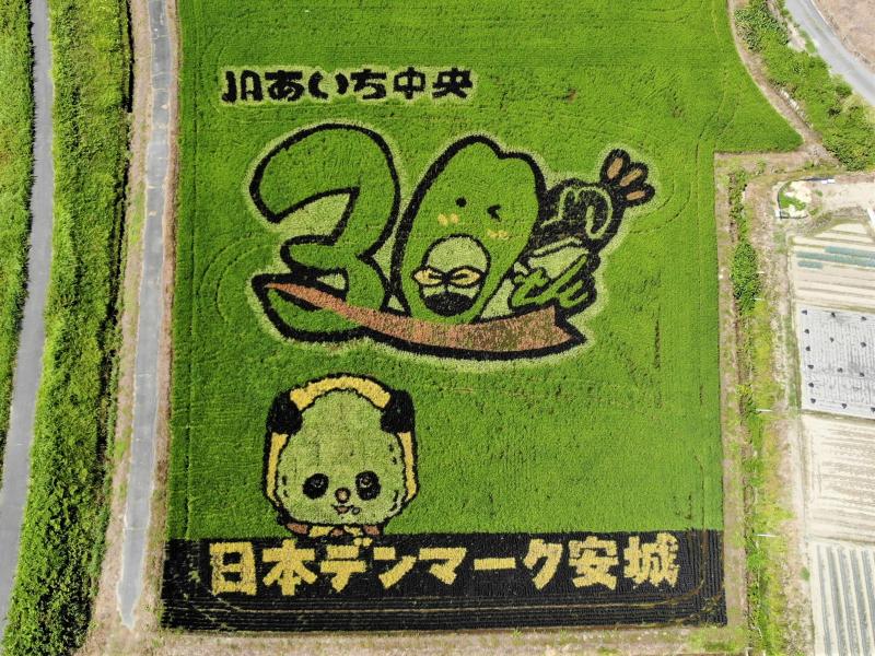 田んぼアート2025