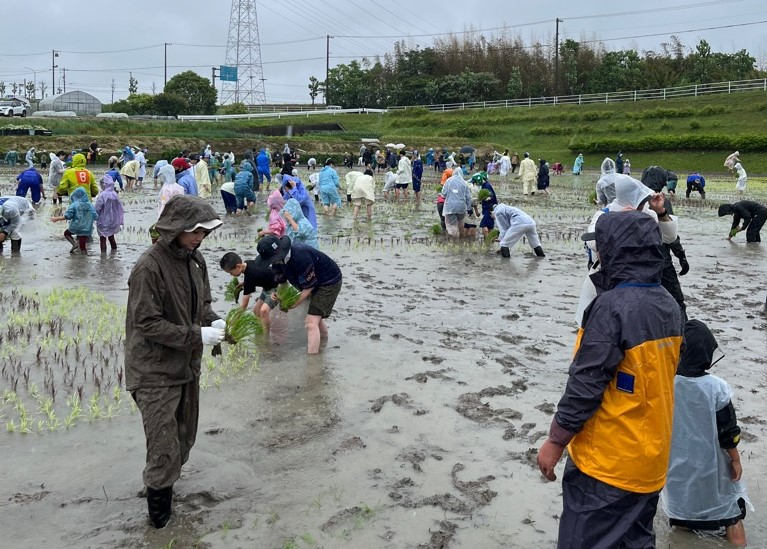 田植え20251.